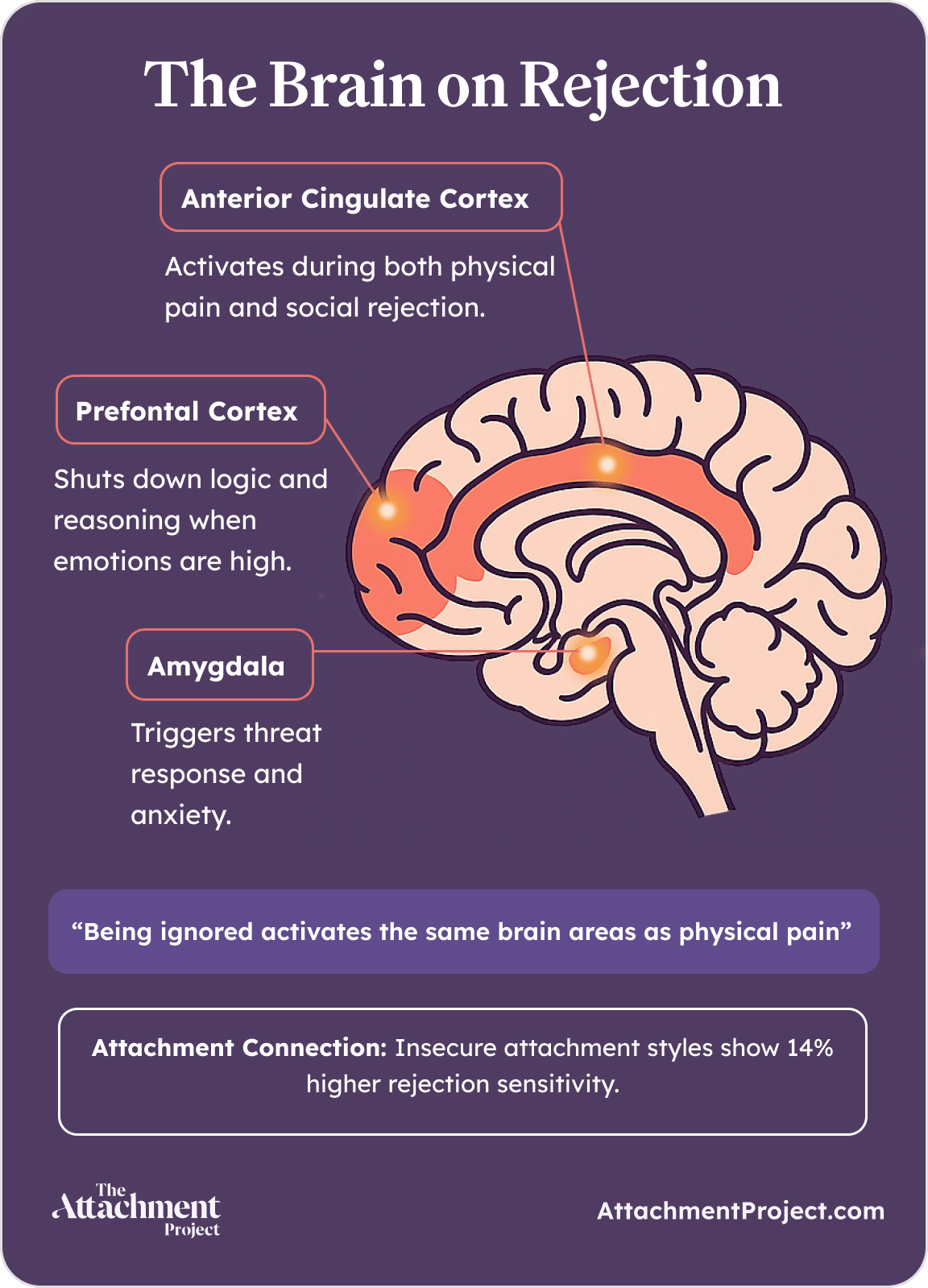 The science of silent treatment and rejection
