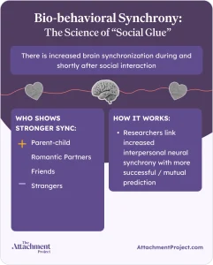 What is bio-behavioral synchrony