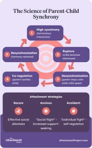The Science of Parent-Child Synchrony